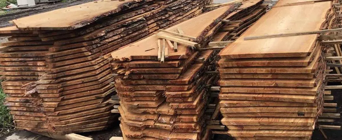 Модрина дошка і Терасна дошка 1